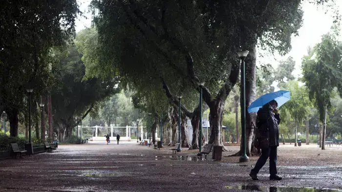 גשם ראשון בתל אביב, נובמבר 2011 גשם ראשון בתל אביב, נובמבר 2011