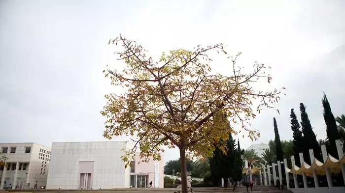 גשם ברחובות תל אביב, נובמבר 2011 גשם ברחובות תל אביב, נובמבר 2011