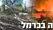 שנה לשריפה בכרמל