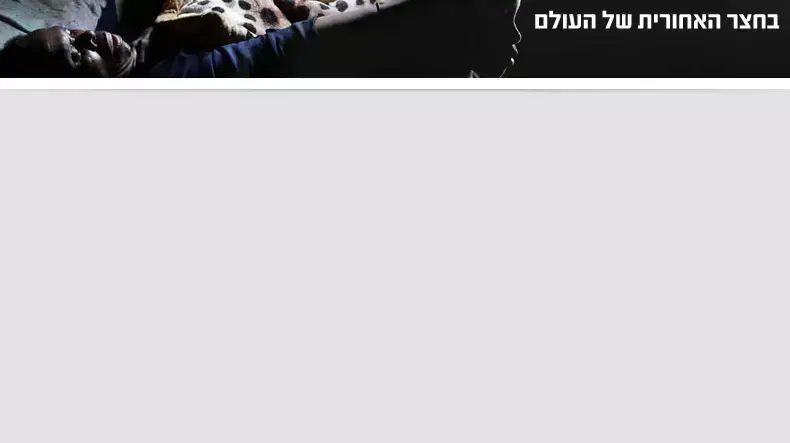 באנר באנר