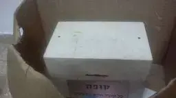 שני ילדים בני 10 נתפסו גונבים כספת בארגז ממקווה ברמת הגולן שני ילדים בני 10 נתפסו גונבים כספת בארגז ממקווה ברמת הגולן