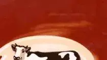 שוקולד פרה שוקולד פרה