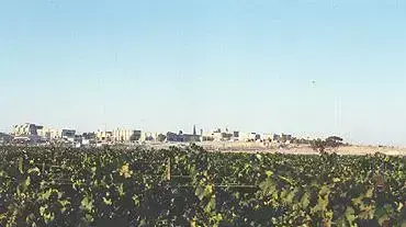 כרמים ליד בהד 1 לכתבה על דרך היין כרמים ליד בהד 1 לכתבה על דרך היין