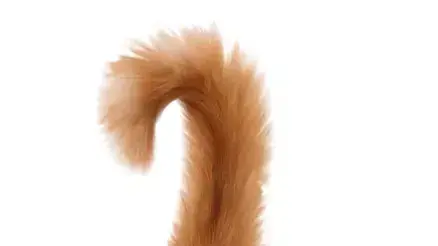 מתקן שתייה אוטומטי, אינטרפט, 45-80 שקל מתקן שתייה אוטומטי, אינטרפט, 45-80 שקל