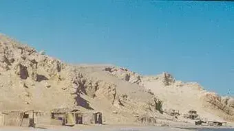 משתזפים בסיני ( צילום שרית רוטמן ) משתזפים בסיני ( צילום שרית רוטמן )