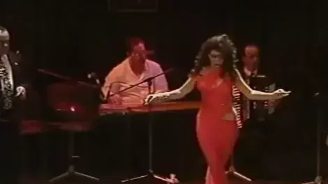 רקדנית בטן "דינא", פברואר 2012 רקדנית בטן "דינא", פברואר 2012