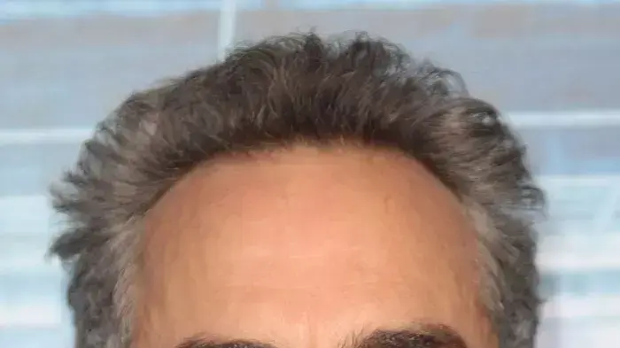 טיטוס וולבר טיטוס וולבר