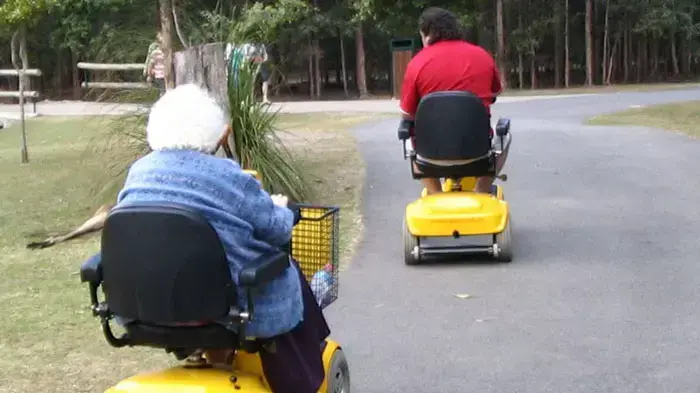 קלנועית קלנועית