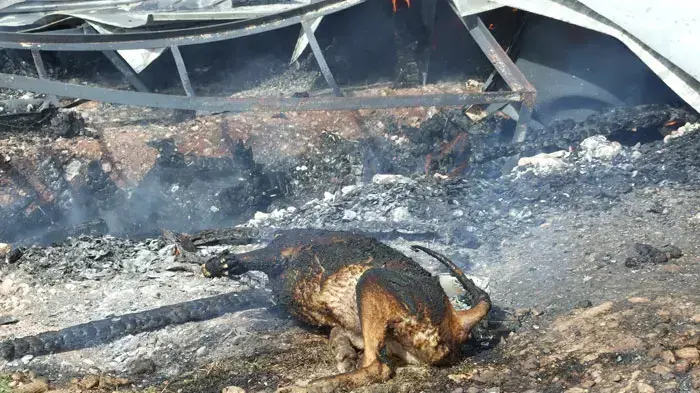 מבנה הוצת במאחז חוות גלעד מבנה הוצת במאחז חוות גלעד