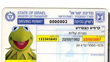 רישיון נהיגה ( אילוסטרציה ) רישיון נהיגה ( אילוסטרציה )