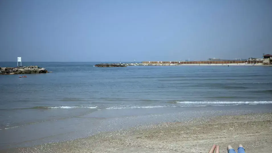 שרב בת"א מרץ 2012 שרב בת"א מרץ 2012