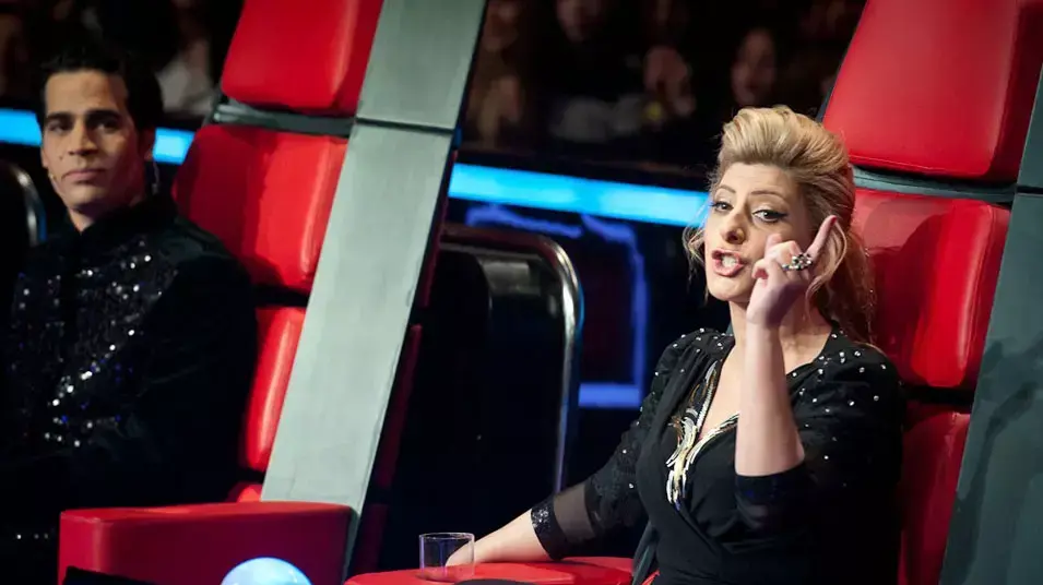 THE VOICE THE VOICE