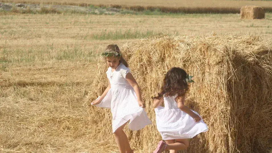 שבועות 2012 שבועות 2012