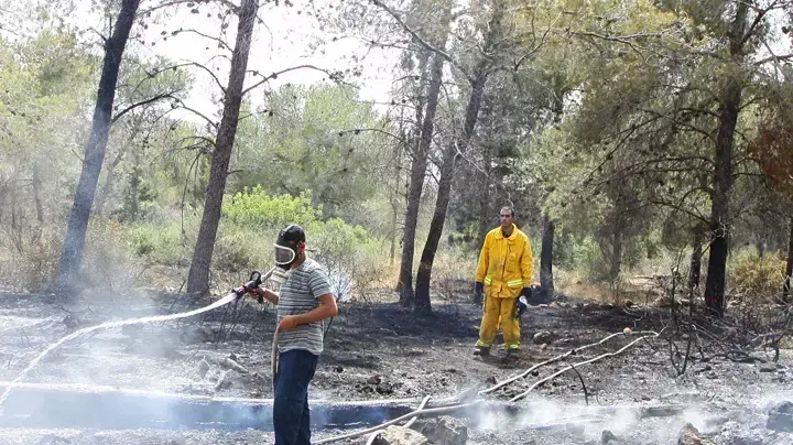שריפת חורש ויער טבעי בוואדי ערה שריפת חורש ויער טבעי בוואדי ערה