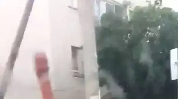 ביצה נזרקה על סודני ביצה נזרקה על סודני