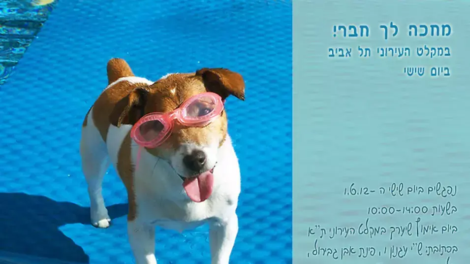 יום אימוץ בכלבייה העירונית תל אביב יום אימוץ בכלבייה העירונית תל אביב