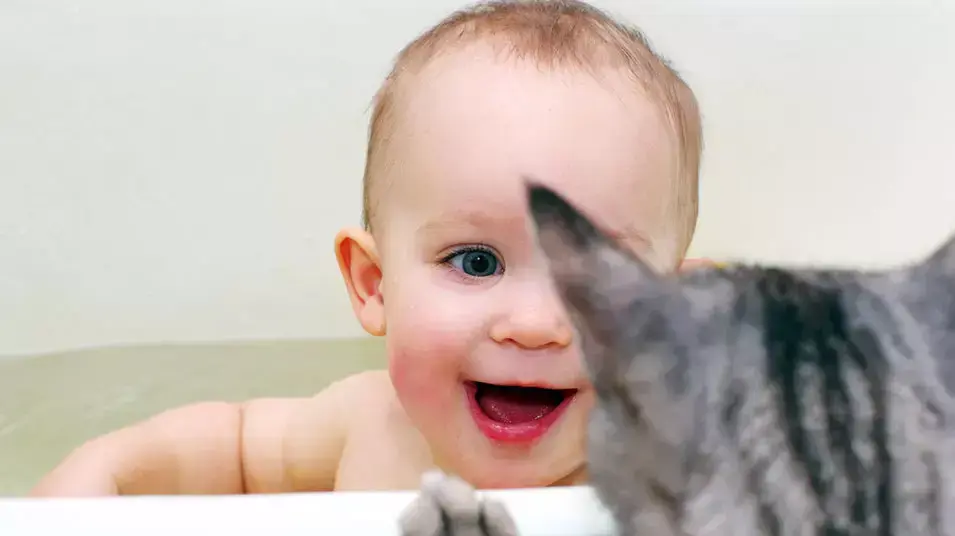תינוק מתקלח ומשחק עם חתול תינוק מתקלח ומשחק עם חתול
