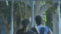 אלימות אלימות