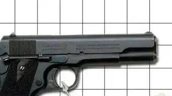 רצח באקדח ( אילוסטרציה אביחי ברוך ) רצח באקדח ( אילוסטרציה אביחי ברוך )
