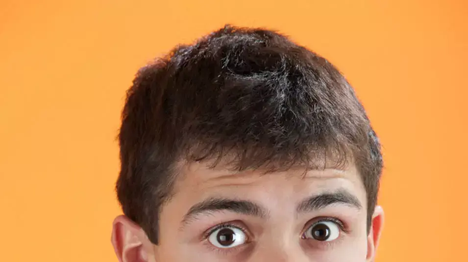 אילוסטרציה אילוסטרציה