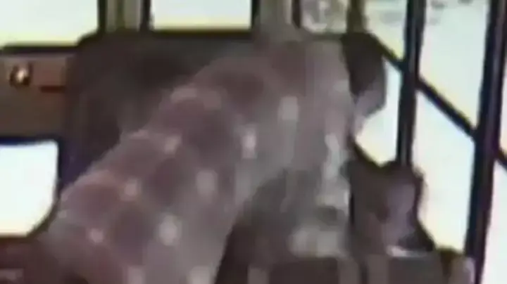 נערים מתעללים בילד שחור באוטובוס בדרך לבית הספר בבריטניה, יולי 2012 נערים מתעללים בילד שחור באוטובוס בדרך לבית הספר בבריטניה, יולי 2012