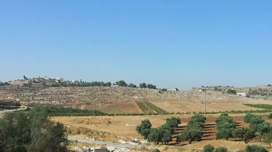 נחל חברון,יולי 2012 נחל חברון,יולי 2012