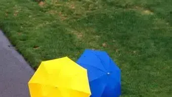מטריות בגשם מטריות בגשם