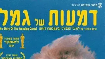 סרט דמעות של גמל סרט דמעות של גמל