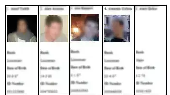אקרים פלסטינים פרסמו תמונות של טייסי חיל האוויר אקרים פלסטינים פרסמו תמונות של טייסי חיל האוויר