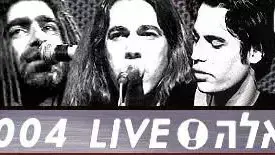 באנר וואלה live