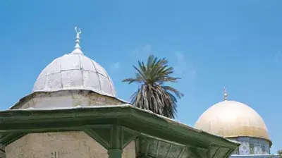 ערבי ערבי
