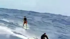 תופס נחשול