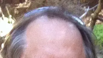 פרופ' גדעון רהט, חוקר מדע המדינה באוניברסיטה העברית פרופ' גדעון רהט, חוקר מדע המדינה באוניברסיטה העברית