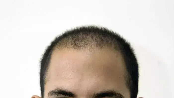 ניר יהב ניר יהב