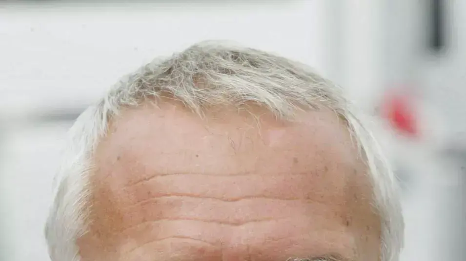דיטריך מאטשיץ, הבעלים של רד בול דיטריך מאטשיץ, הבעלים של רד בול
