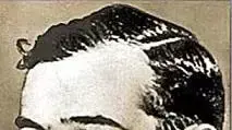 ראול ולנברג חסיד אומות עולם שהציל יהודים בשואה ראול ולנברג חסיד אומות עולם שהציל יהודים בשואה