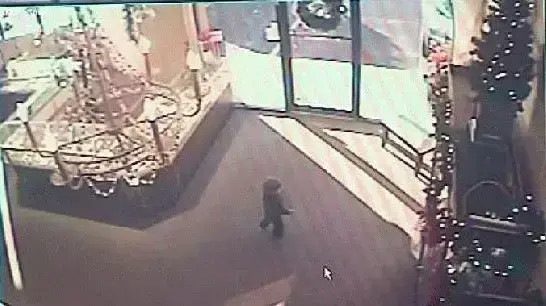 פעוט כמעט נפגע על ידי רכב בג'ורג'יה ארצות הברית פעוט כמעט נפגע על ידי רכב בג'ורג'יה ארצות הברית