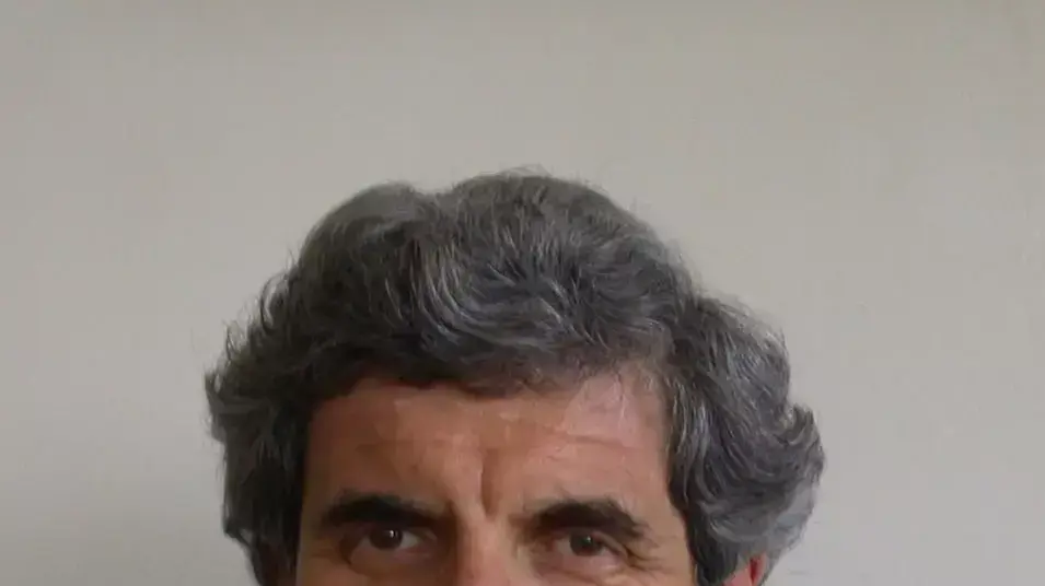 פרופסור יואב פלד