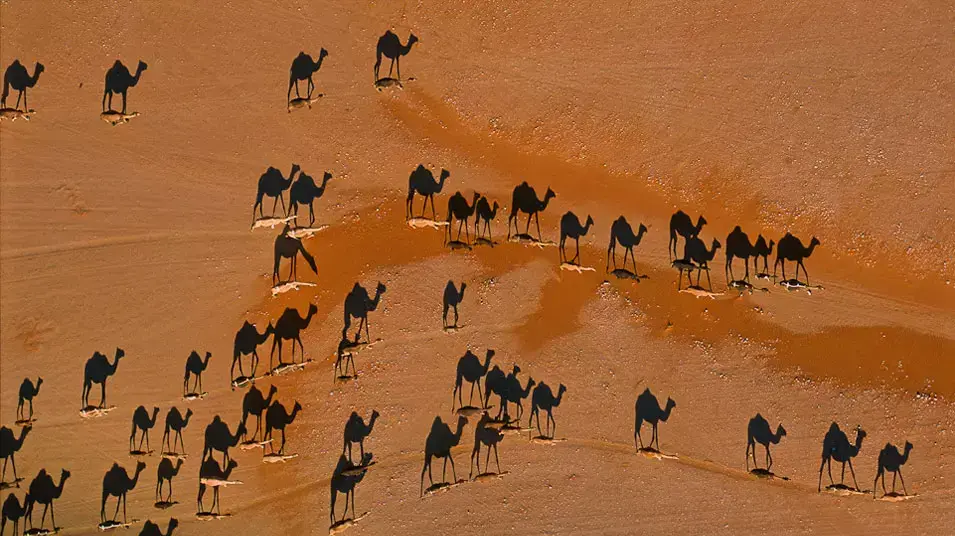 צילומים מהספר Desert Air צילומים מהספר Desert Air