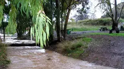 שטפונות ביערות בצפון שטפונות ביערות בצפון