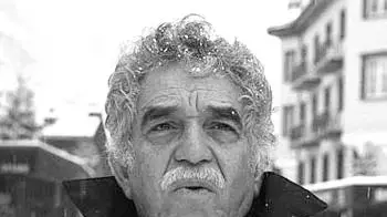 רותם רותם