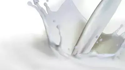 כוס חלב (מועצת החלב ) כוס חלב (מועצת החלב )