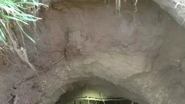 מנהרה נחשפה בגבול רצועת עזה מנהרה נחשפה בגבול רצועת עזה