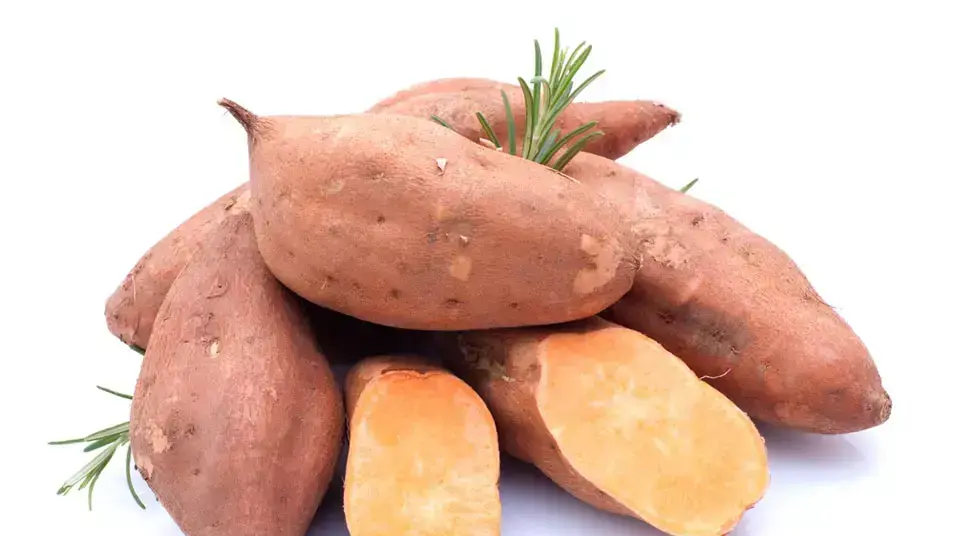 יום שהיה מוצלח ונגמר קטסטרופה יום שהיה מוצלח ונגמר קטסטרופה