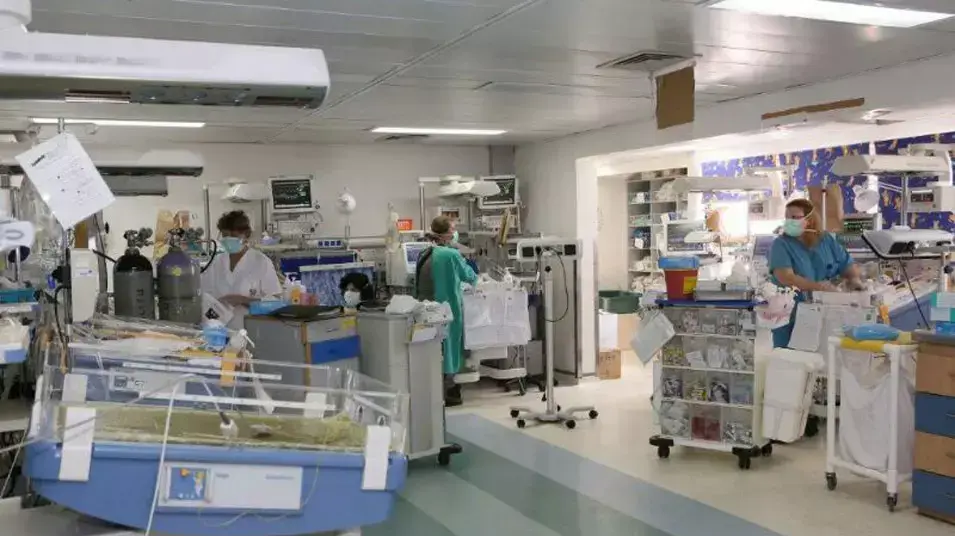 הפגייה בבית החולים רמב"ם בחיפה הפגייה בבית החולים רמב"ם בחיפה