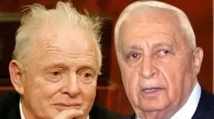 שרון ולפיד ( אילוסטרציה ) שרון ולפיד ( אילוסטרציה )