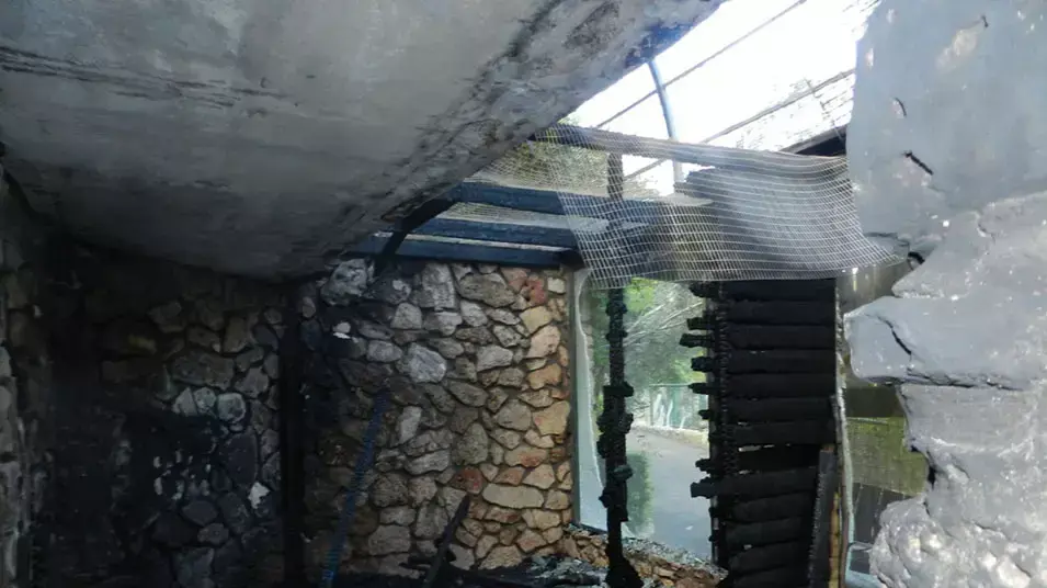 שריפה בגן החיות בחיפה , אפריל 2013 שריפה בגן החיות בחיפה , אפריל 2013