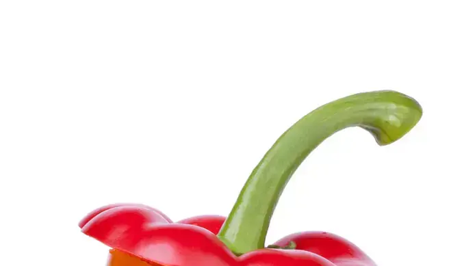 פלפלים פלפלים