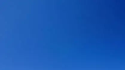 משתזפות על החוף משתזפות על החוף