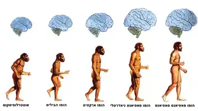 אדם קדמון אדם קדמון